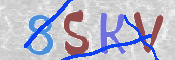 CAPTCHA 驗證圖片