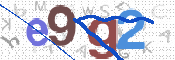 CAPTCHA 驗證圖片