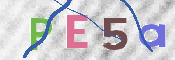 CAPTCHA 驗證圖片