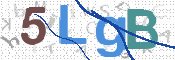 CAPTCHA 驗證圖片