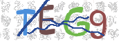 CAPTCHA 驗證圖片