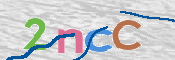 CAPTCHA 驗證圖片