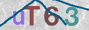 CAPTCHA 驗證圖片