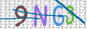 CAPTCHA 驗證圖片