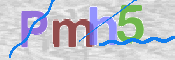 CAPTCHA 驗證圖片