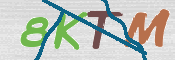 CAPTCHA 驗證圖片