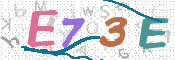 CAPTCHA 驗證圖片