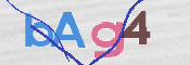 CAPTCHA 驗證圖片