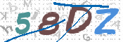CAPTCHA 驗證圖片