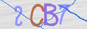 CAPTCHA 驗證圖片