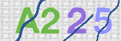 CAPTCHA 驗證圖片