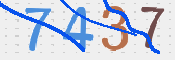 CAPTCHA 驗證圖片