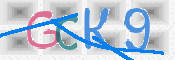 CAPTCHA 驗證圖片