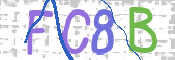 CAPTCHA 驗證圖片