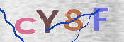 CAPTCHA 驗證圖片