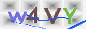 CAPTCHA 驗證圖片