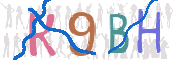 CAPTCHA 驗證圖片