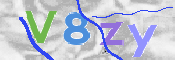 CAPTCHA 驗證圖片