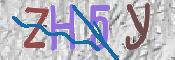 CAPTCHA 驗證圖片
