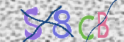 CAPTCHA 驗證圖片