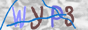 CAPTCHA 驗證圖片