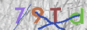 CAPTCHA 驗證圖片