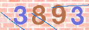 CAPTCHA 驗證圖片