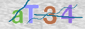 CAPTCHA 驗證圖片