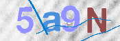 CAPTCHA 驗證圖片