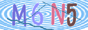 CAPTCHA 驗證圖片