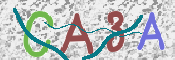 CAPTCHA 驗證圖片