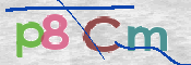 CAPTCHA 驗證圖片
