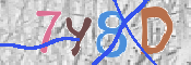 CAPTCHA 驗證圖片