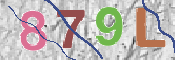 CAPTCHA 驗證圖片