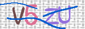 CAPTCHA 驗證圖片