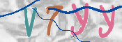 CAPTCHA 驗證圖片