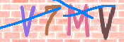 CAPTCHA 驗證圖片