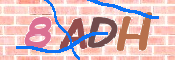 CAPTCHA 驗證圖片