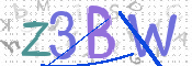 CAPTCHA 驗證圖片
