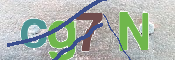 CAPTCHA 驗證圖片