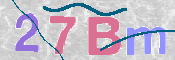 CAPTCHA 驗證圖片