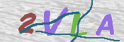 CAPTCHA 驗證圖片