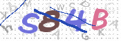 CAPTCHA 驗證圖片