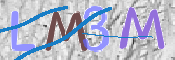 CAPTCHA 驗證圖片