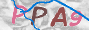 CAPTCHA 驗證圖片
