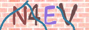 CAPTCHA 驗證圖片