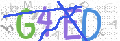 CAPTCHA 驗證圖片