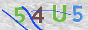 CAPTCHA 驗證圖片