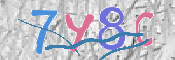 CAPTCHA 驗證圖片