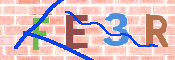 CAPTCHA 驗證圖片